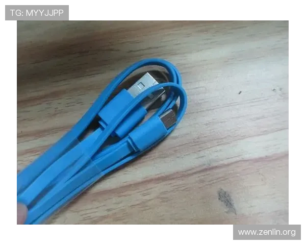 V8体育入口最新版本下载安装步骤与常见故障排查指南